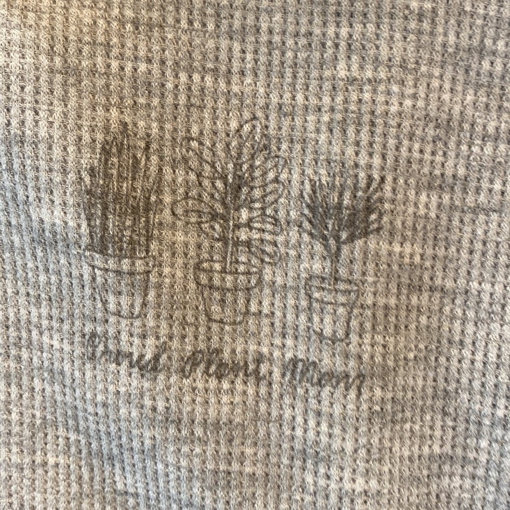 American Eagle Proud Plant Mom Waffle Knit Hoodie Cropped XS Gray Hooded Shirt - Picture 2 of 7